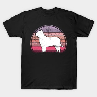 Pitbull Sunset T-Shirt